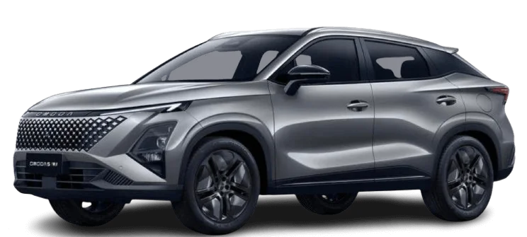 Noleggio lungo termine